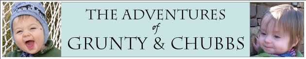 The Adventures of Grunty and Chubbs