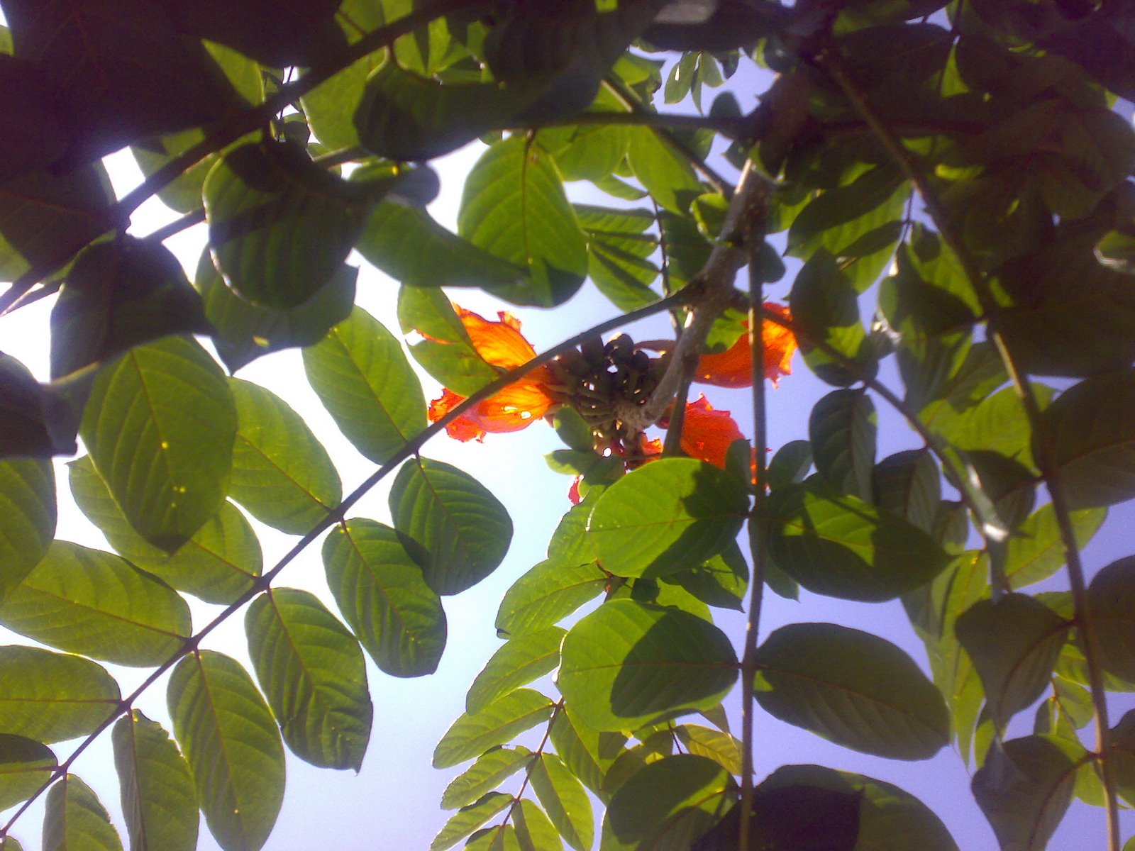 [20022008231.jpg]