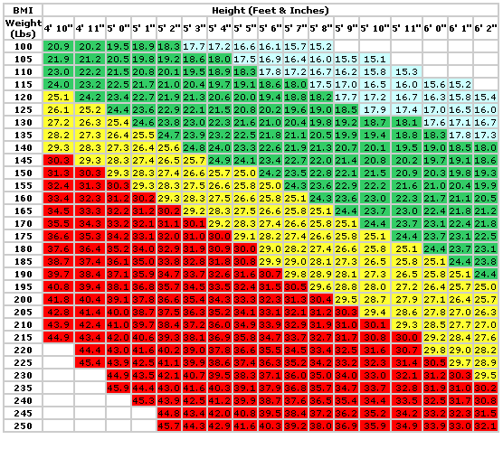 body mass index calculator in kg and feet