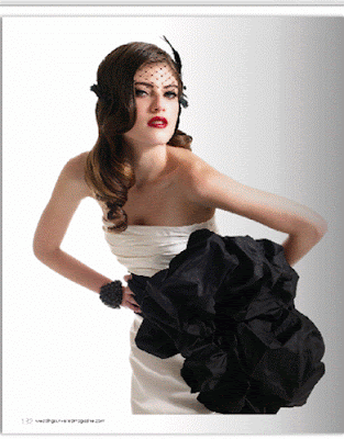 castlebridebirdcageveilfulllength