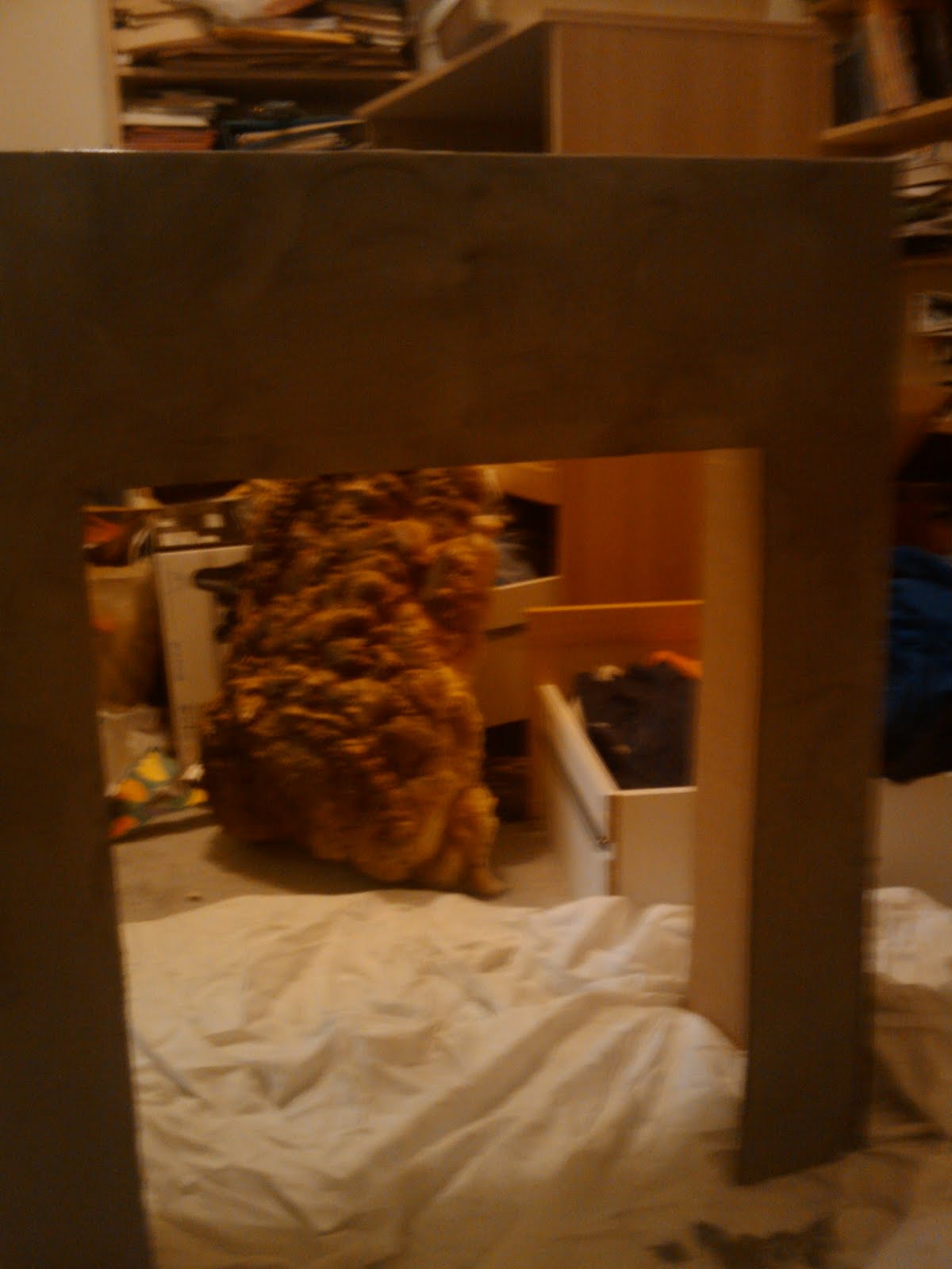 Vbs Decorating May 2010