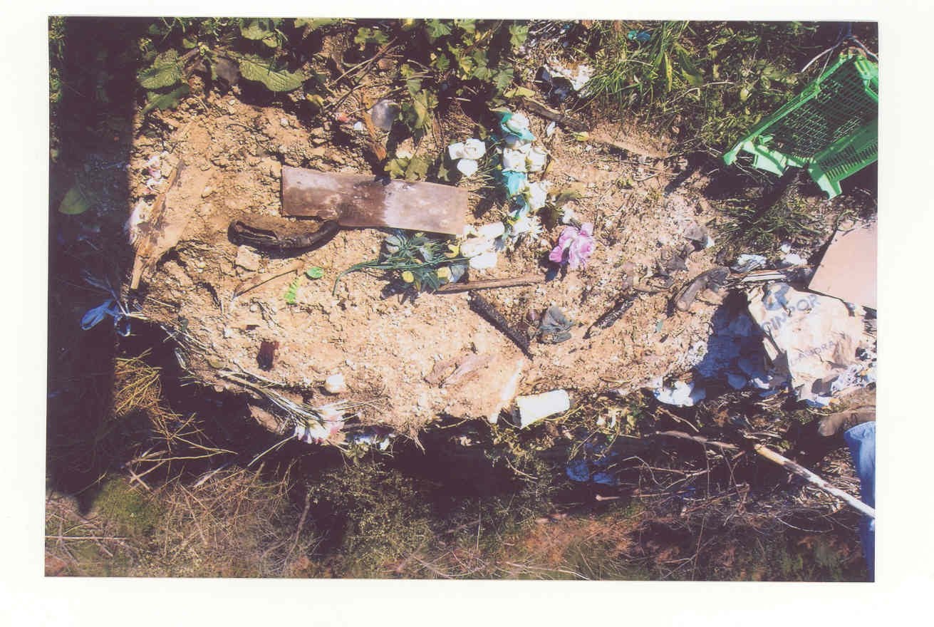 [crime+ambiental4.JPG]