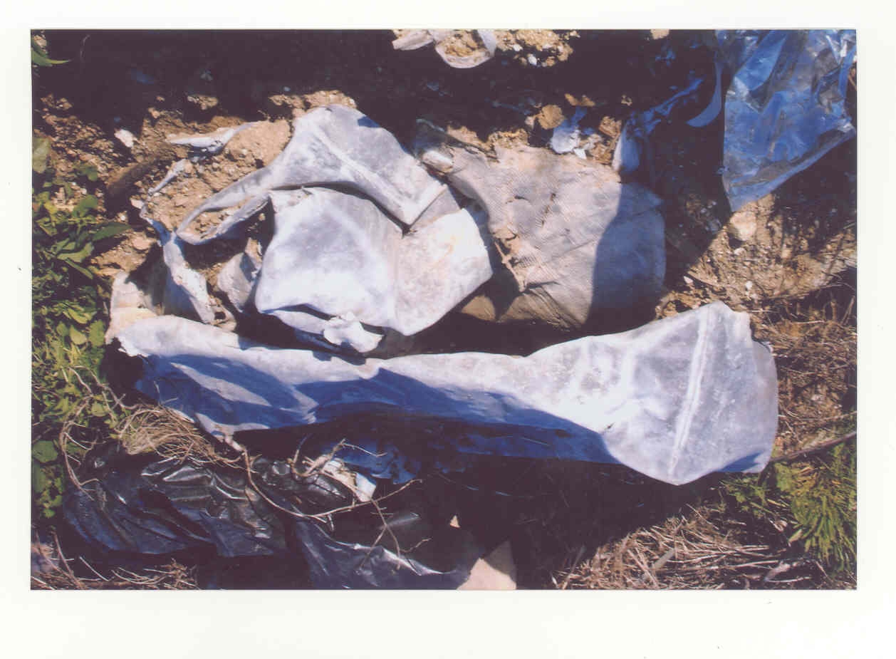 [crime+ambiental8.JPG]