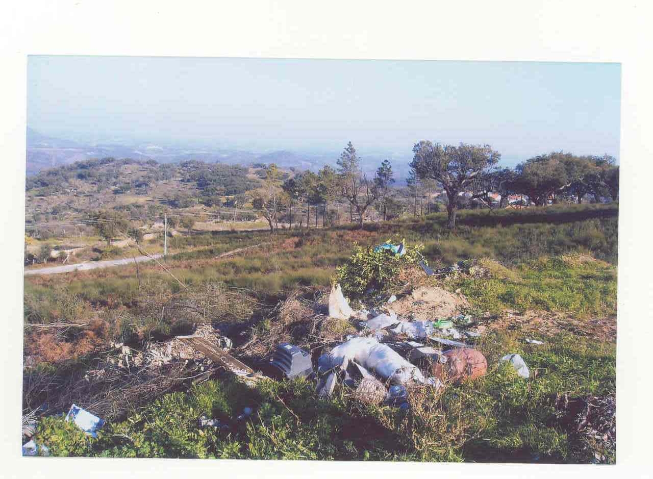 [crime+ambiental10.JPG]