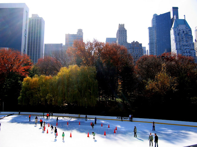 Central park and all the colors in the fall were just breathtaking