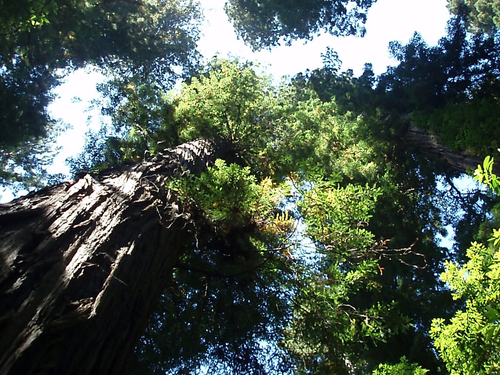 [P9020252.JPG]