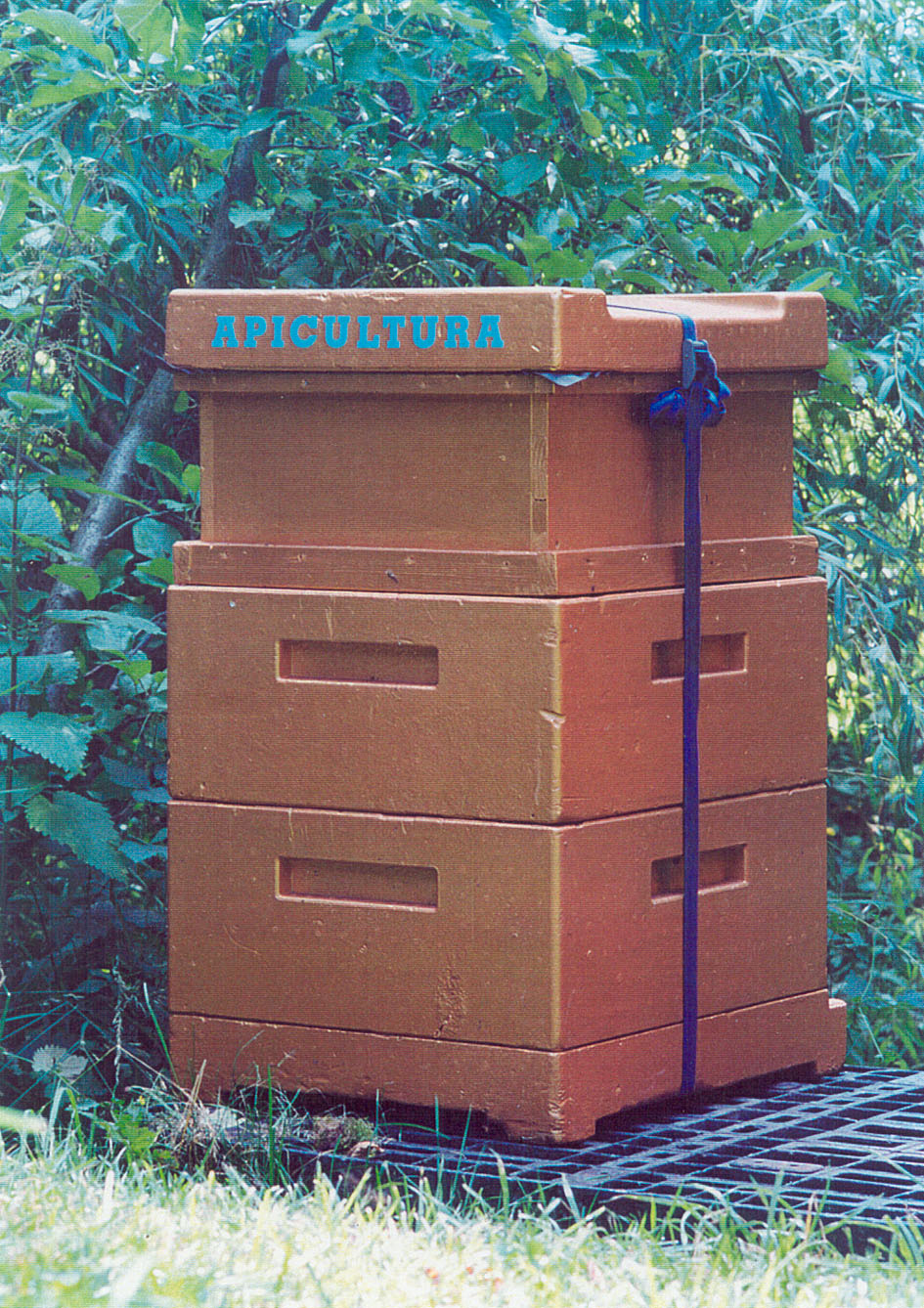 Bienenkasten