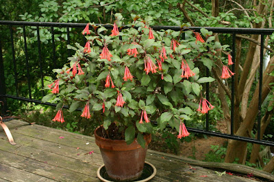Gartenmeister Bonstedt