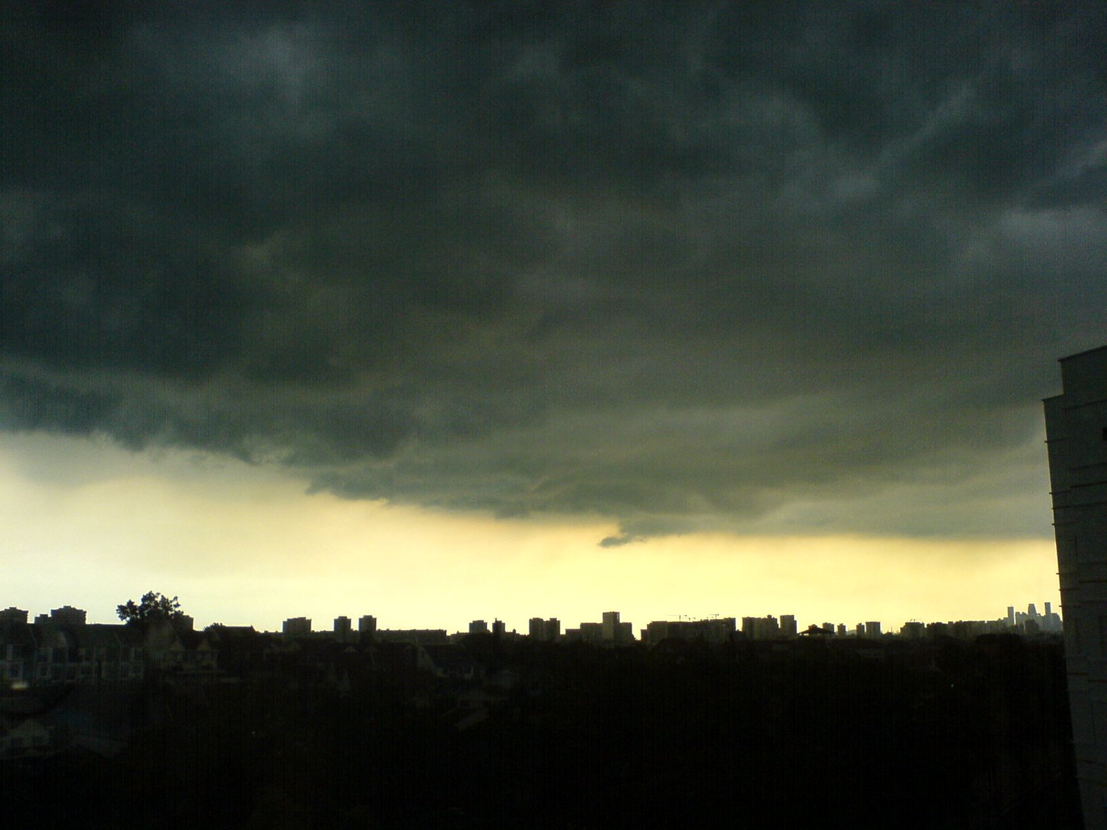[DSC00343.JPG]