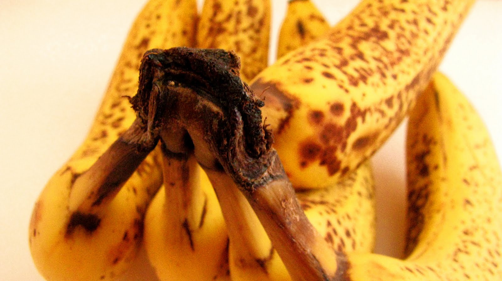 CakeWalk Raw Vegan Monday Banana "Ice Cream" Sandwiches