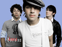 The Jonas Brothers