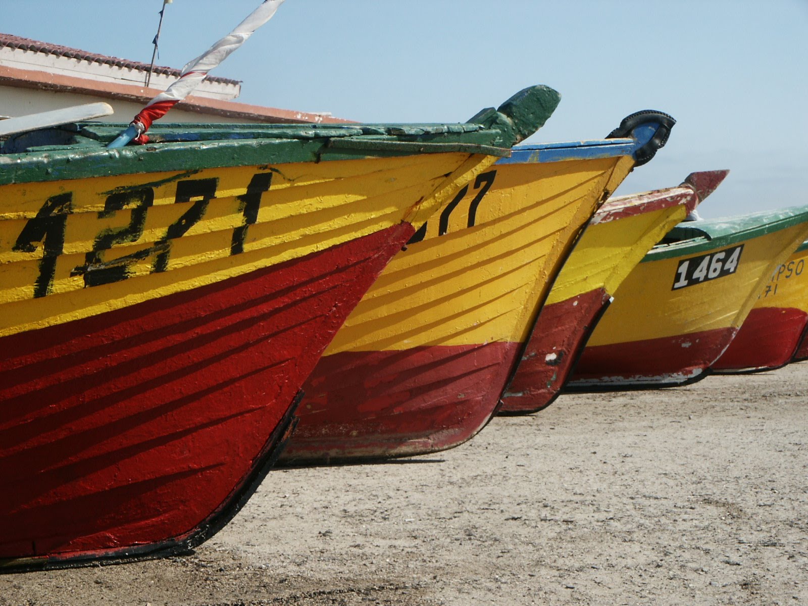 [PICT0080.JPG]