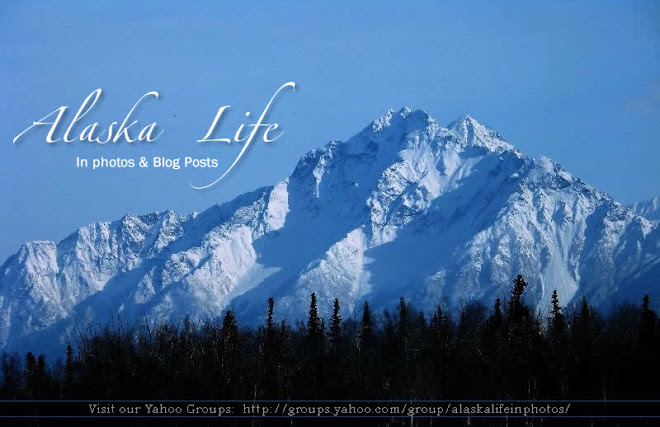 Alaska Life in Photos Bluefire Media