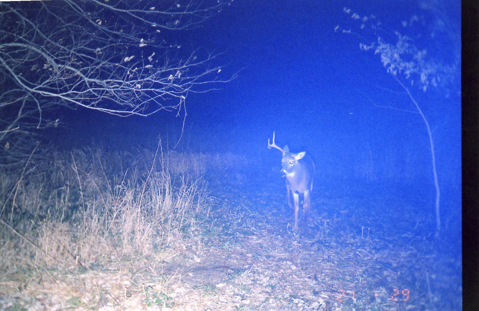 [File1179.jpg]