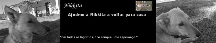 Encontrem a Nikkita