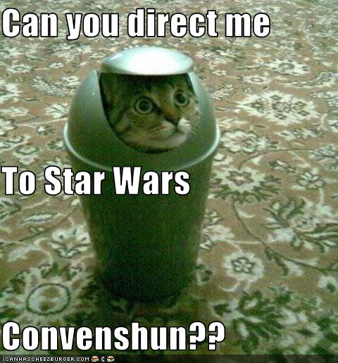 funny-pictures-cat-goes-to-convention.jpg