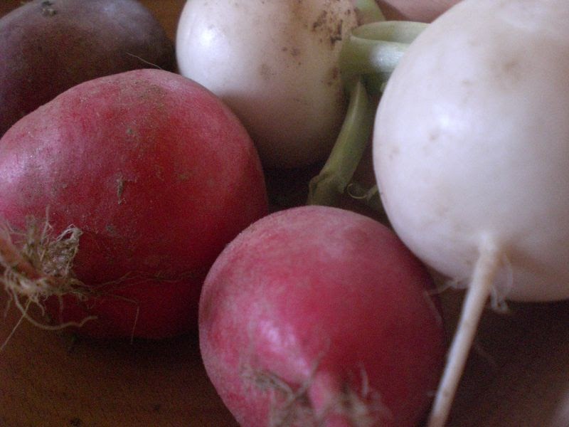 When is a Turnip Not a Turnip? A Bushel of What?