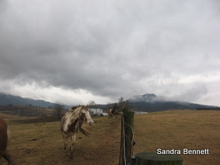 [IMG_9643.JPG]