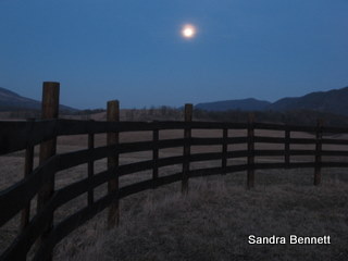 [IMG_9522.JPG]