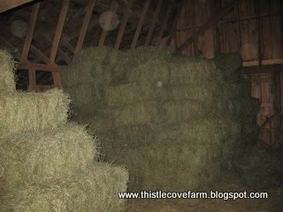 [IMG_2287.JPG]