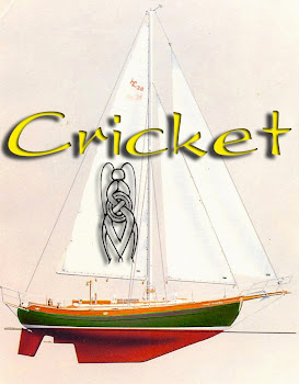 cricket