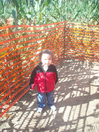 In the corn maze at the pumpkin patch