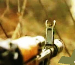 ŞTIRI PE ŢEAVA PUŞTII