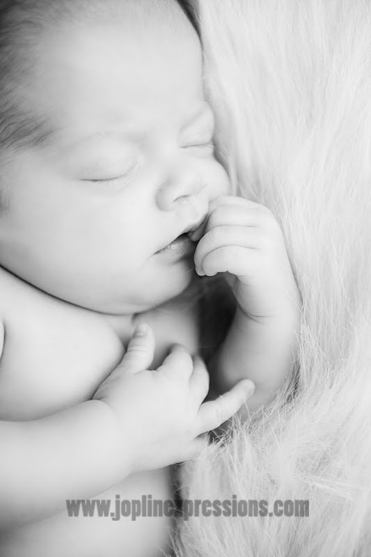 [0181+gormanNB+bw.jpg]