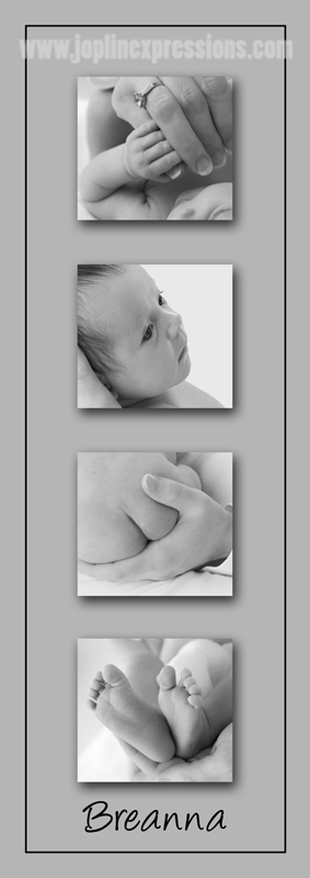 [composite+6x17.jpg]