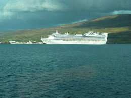 Princess Cruise ship from shore