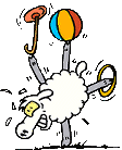 Sheep Camp - Never a dull moment!