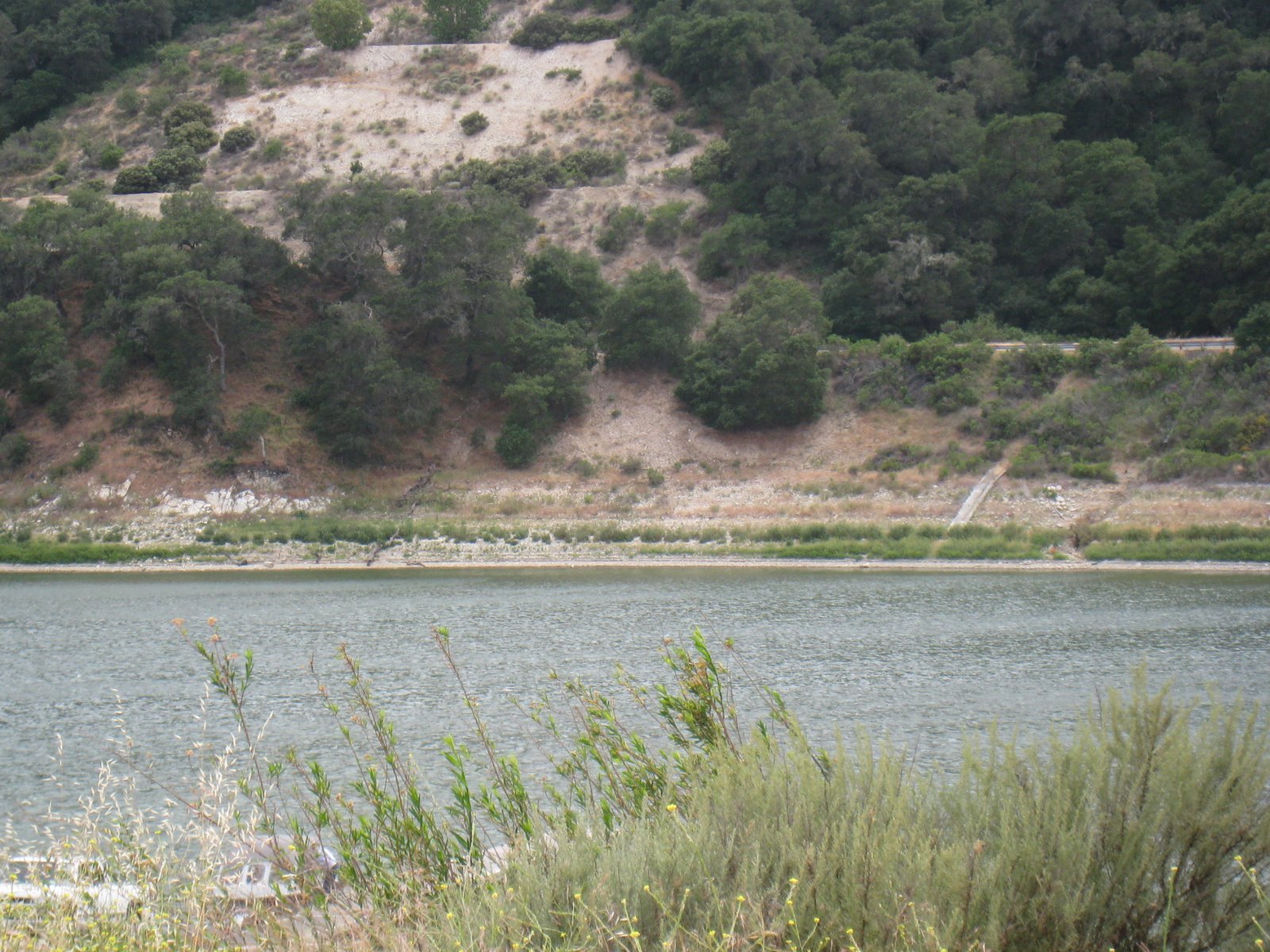 [IMG_1143.JPG]