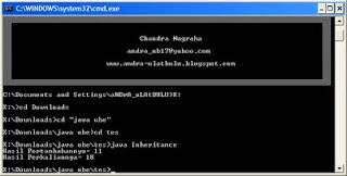 runInheritance