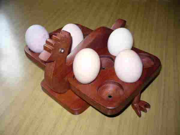 Gallina porta-huevos