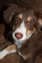 Nala