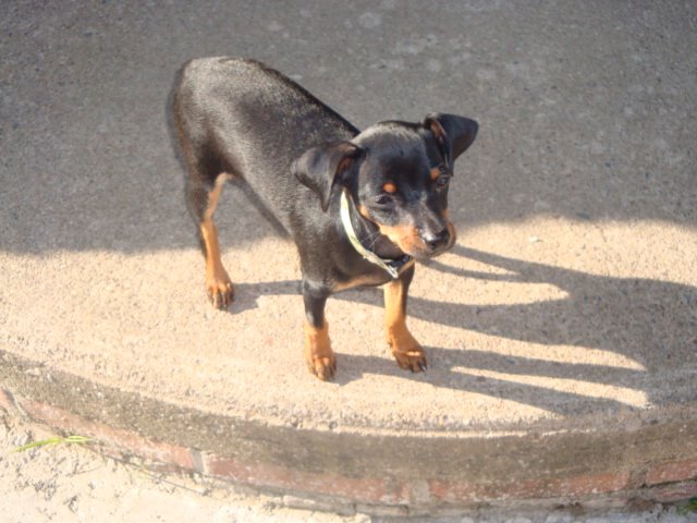 [DSC01971.JPG]