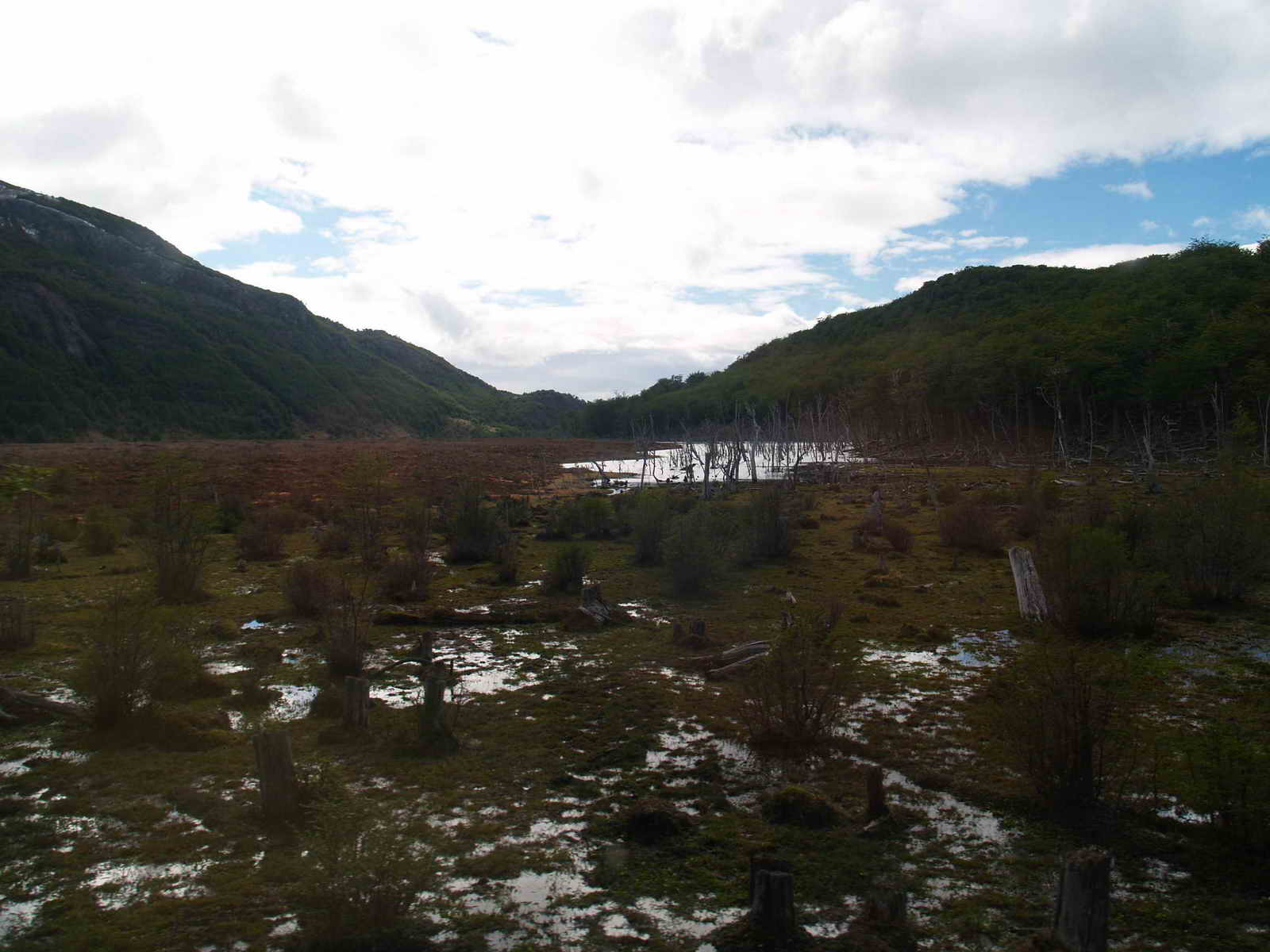 [ARGENTINA20071108_92.JPG]