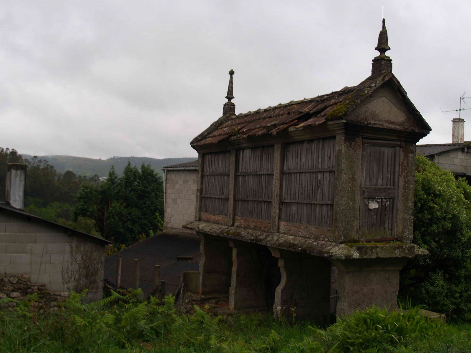 [P4240725.JPG]