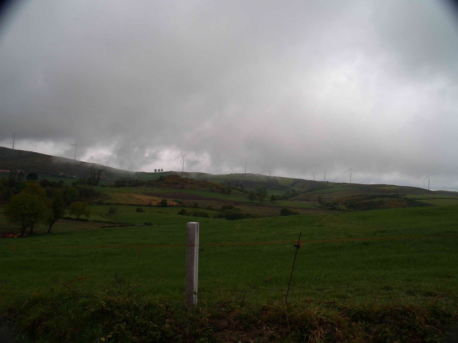 [P4240731.JPG]