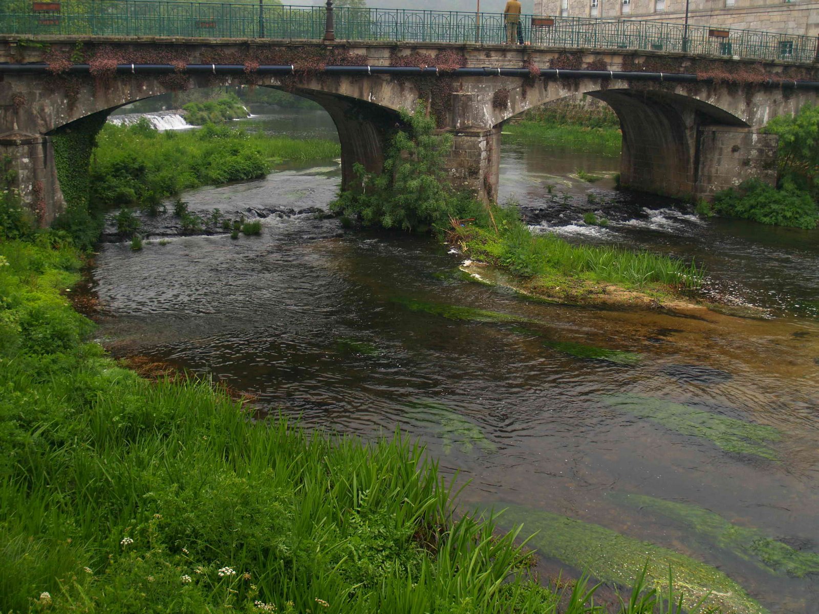 [P4240701.JPG]