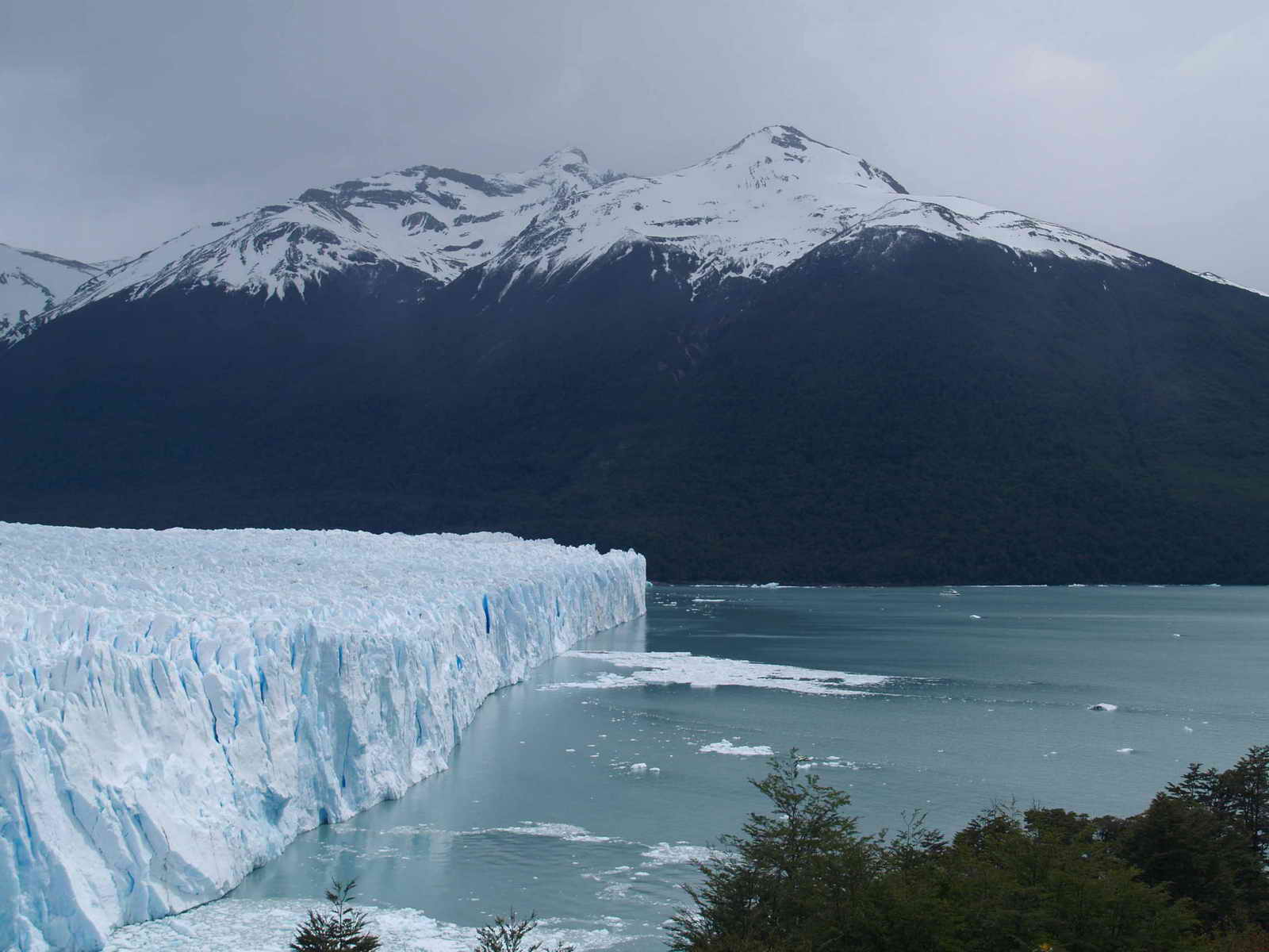 [ARGENTINA20071110_28.JPG]