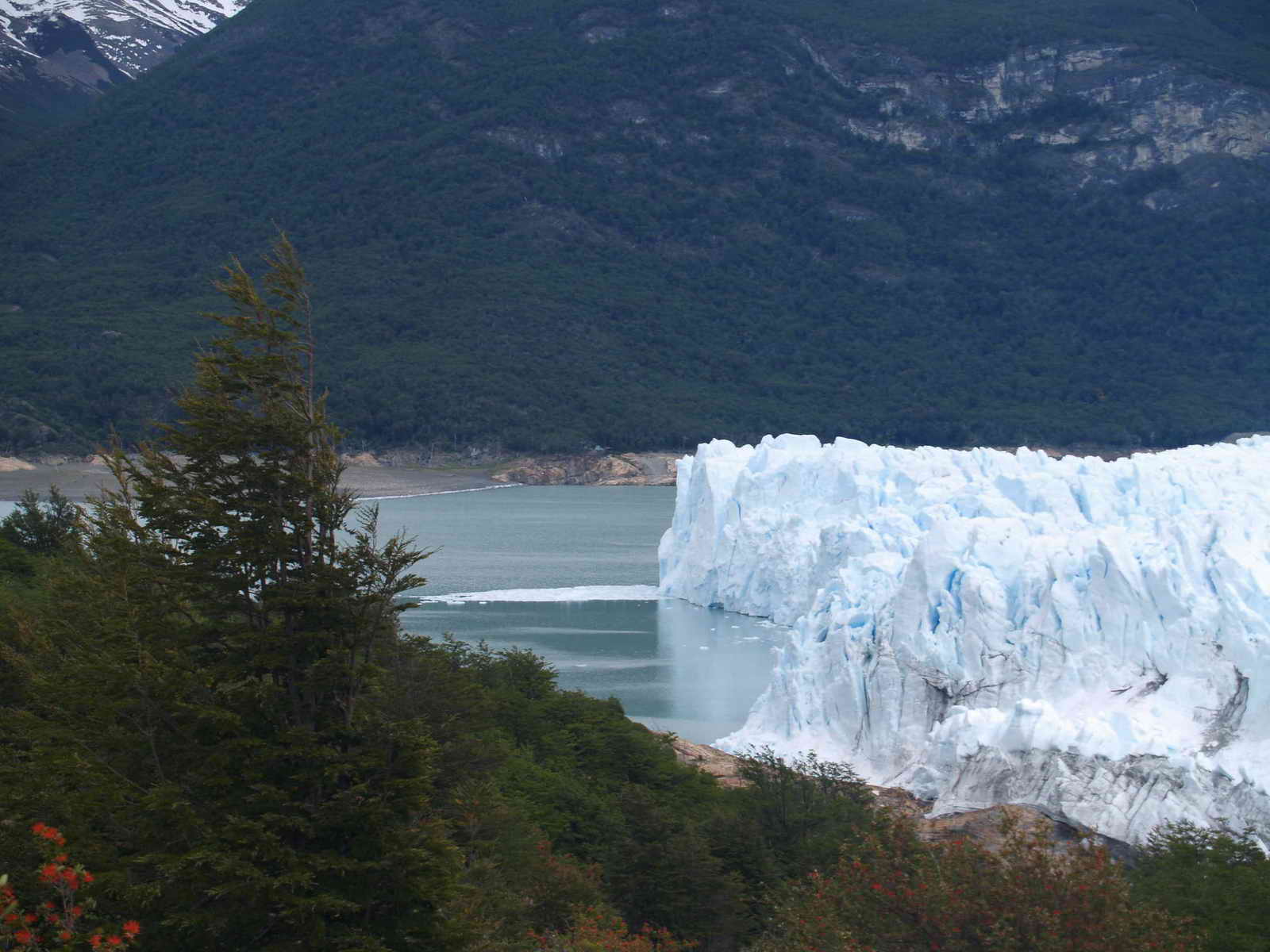 [ARGENTINA20071110_21.JPG]