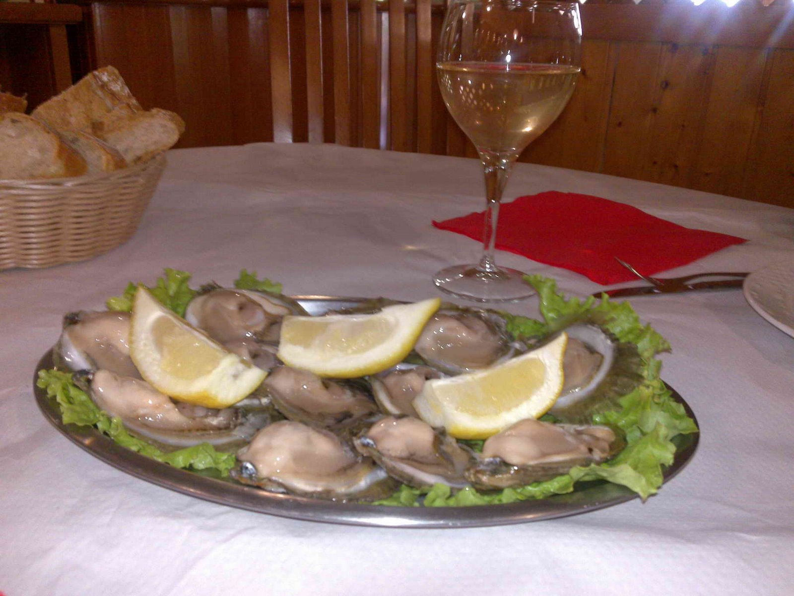 [22042009164.jpg]