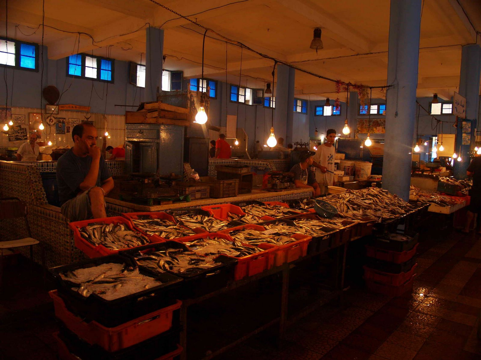 [TUNEZ200820080906_190.JPG]
