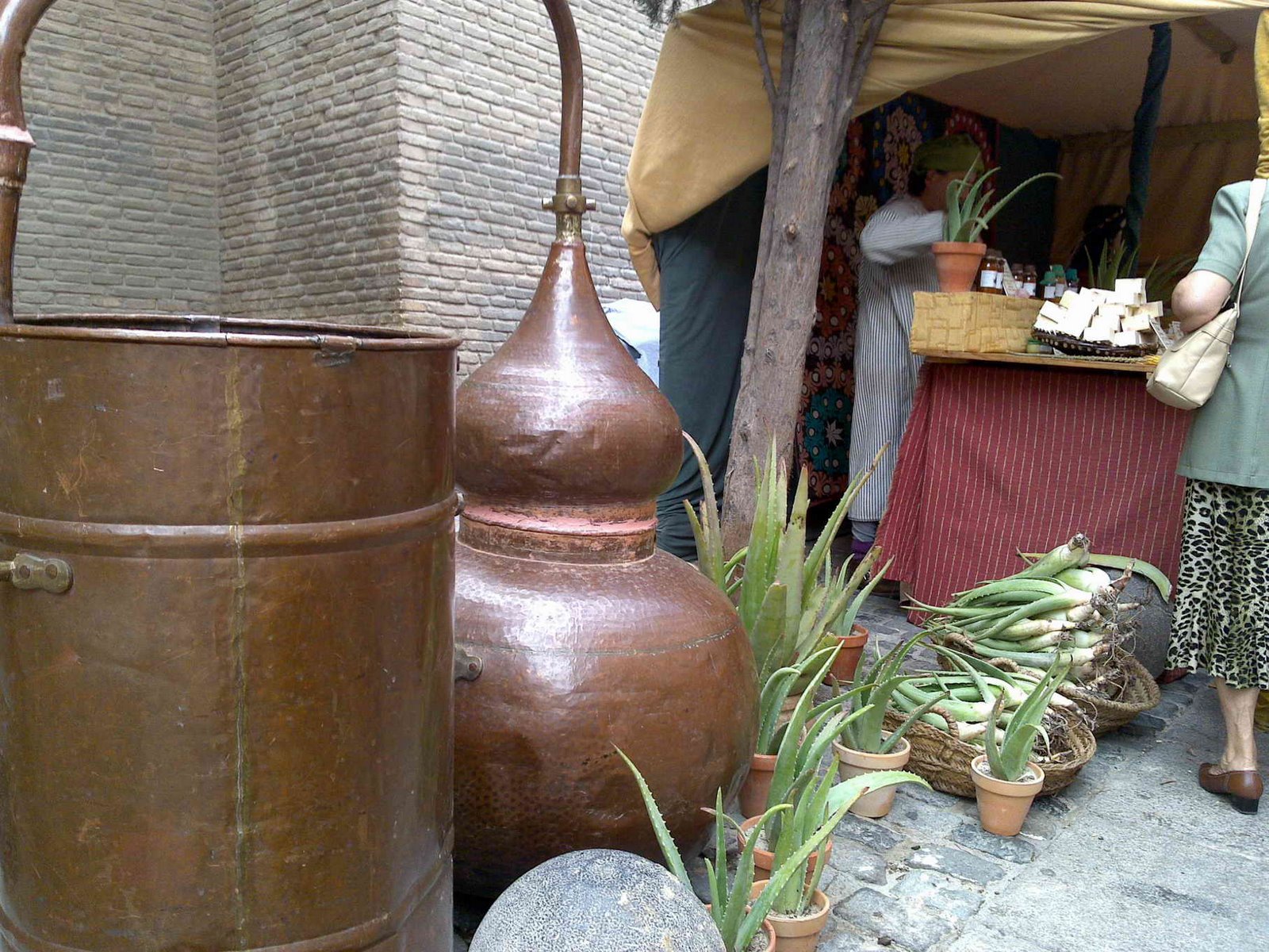 [07062009286.jpg]