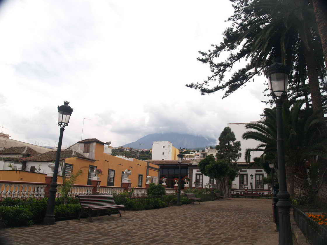 [PA312975.JPG]