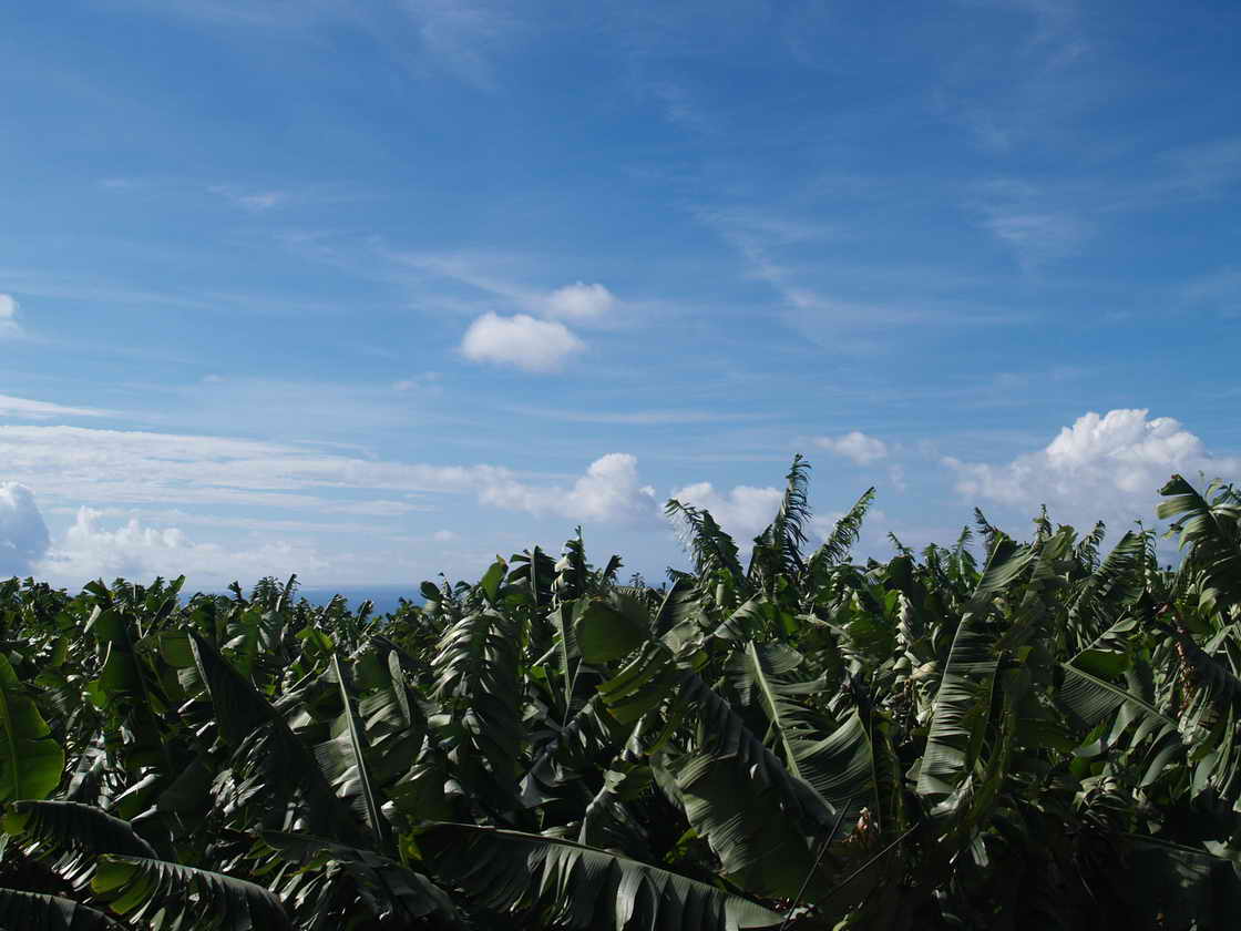[PB023149.JPG]