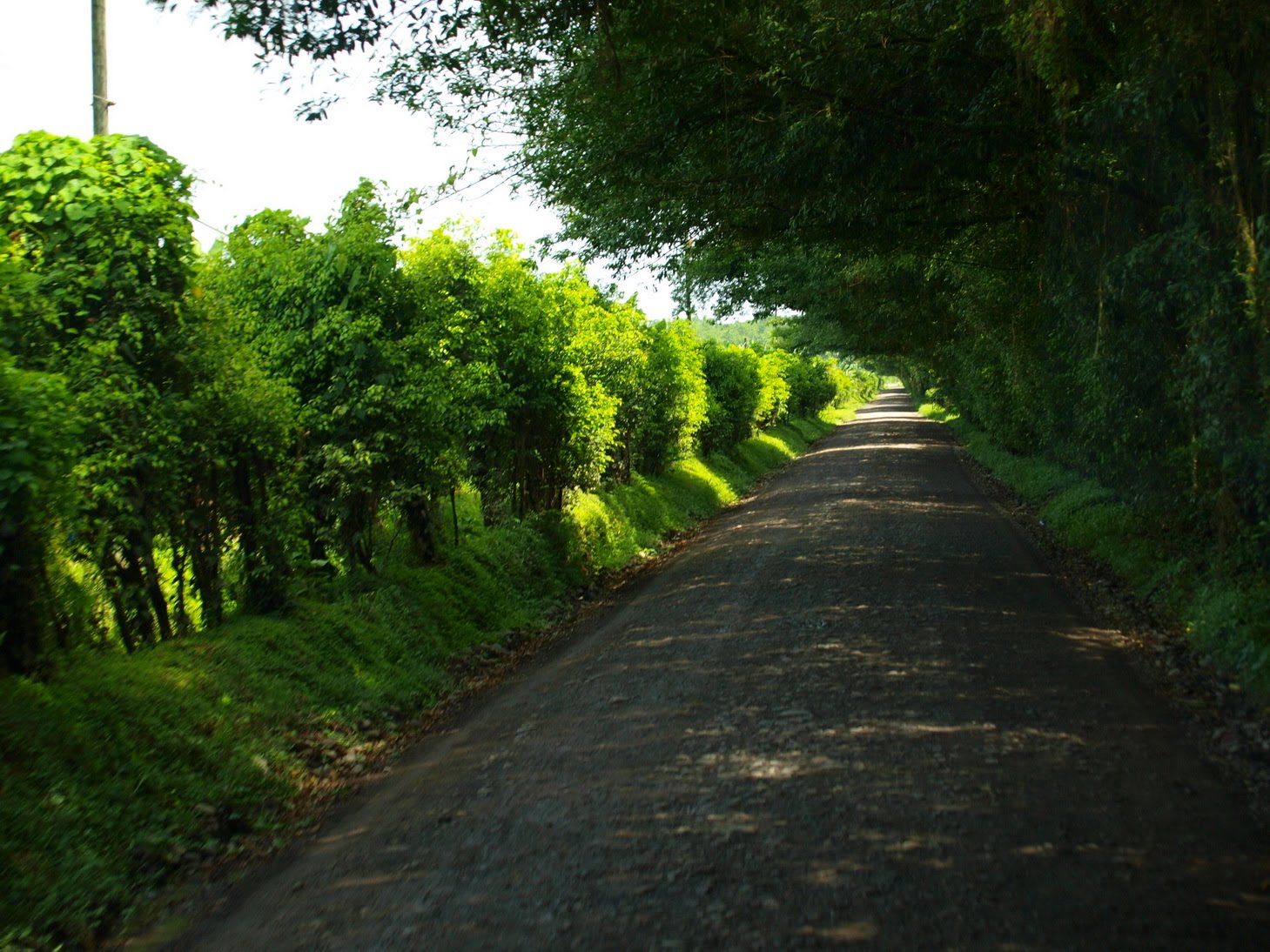 [P9031468.JPG]