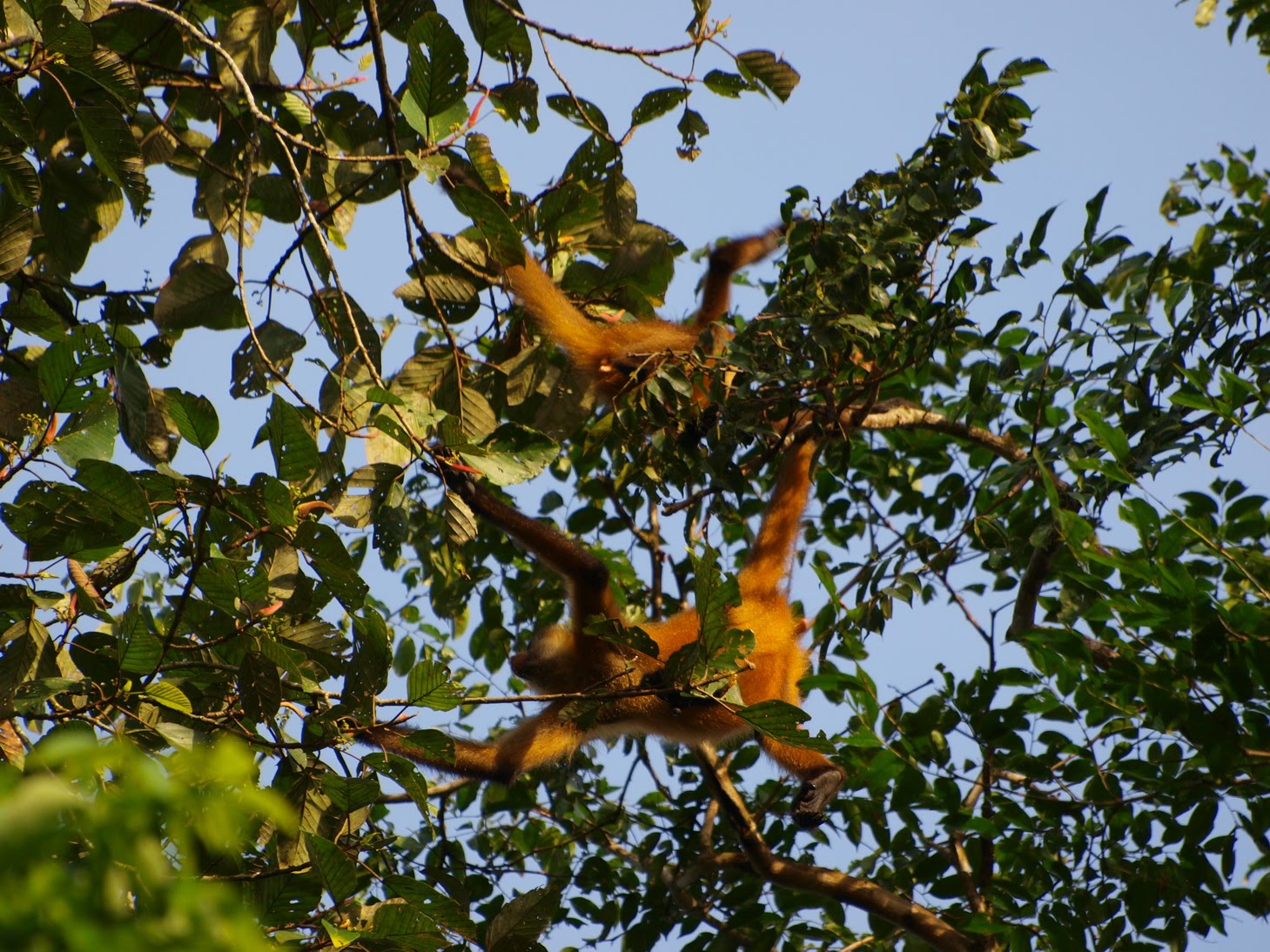 [P9041588.JPG]
