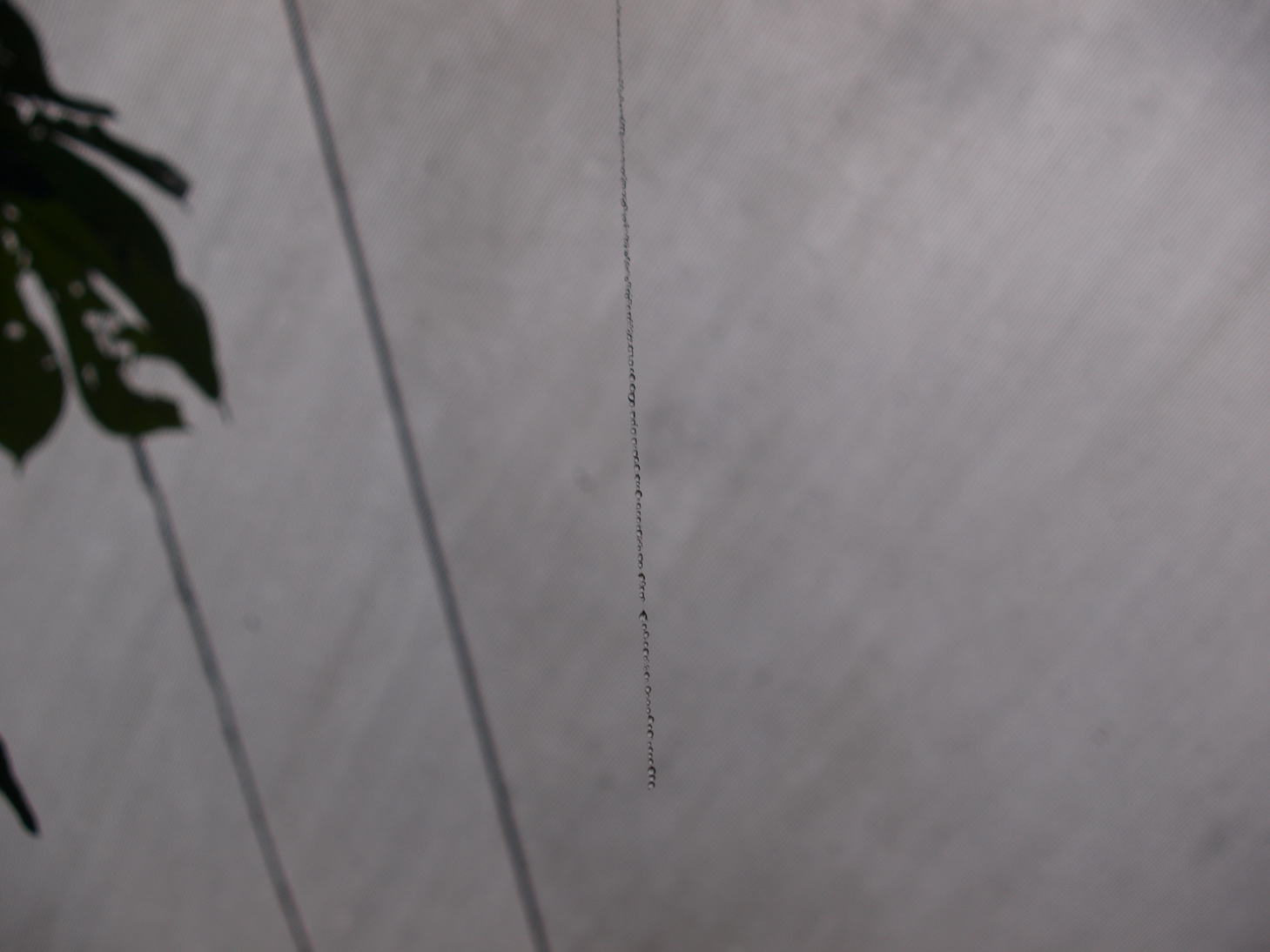 [P9081885.JPG]